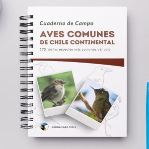 Cuaderno de Campo - Aves comunes de Chile