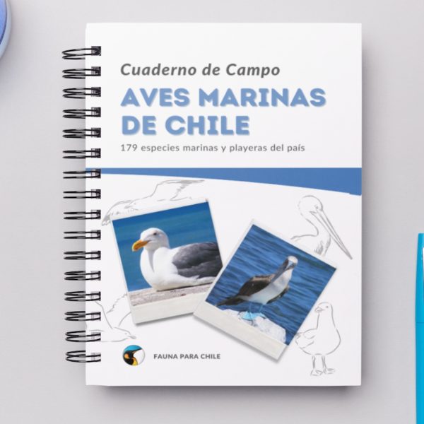 Cuaderno de Campo - Aves marinas y playeras de Chile