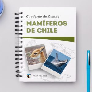 Cuaderno de Campo - Mamíferos de Chile