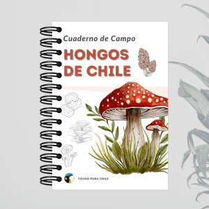 Cuaderno de Campo - Hongos de Chile