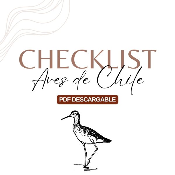 Checklist Aves de Chile  (547 especies) - PDF descargable