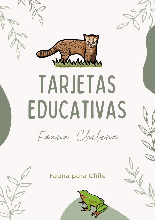 Tarjetas Educativas - PDF descargable