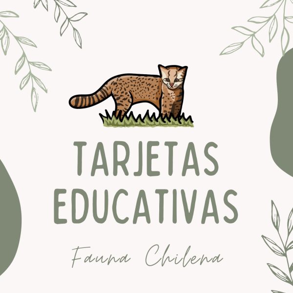 Tarjetas Educativas - PDF descargable