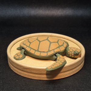 Figuras 3D - Tortuga Verde