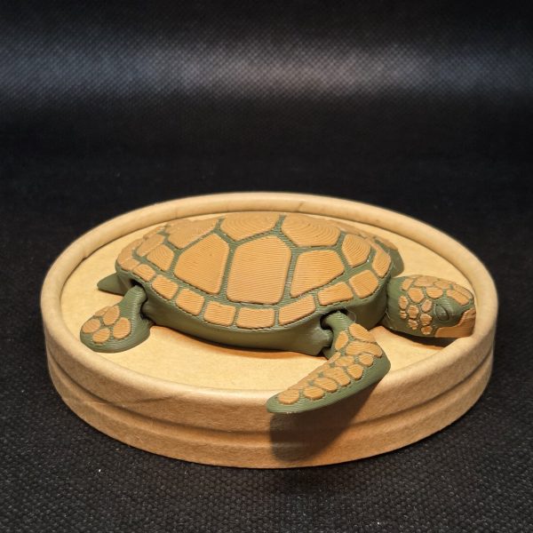 Figuras 3D - Tortuga Verde