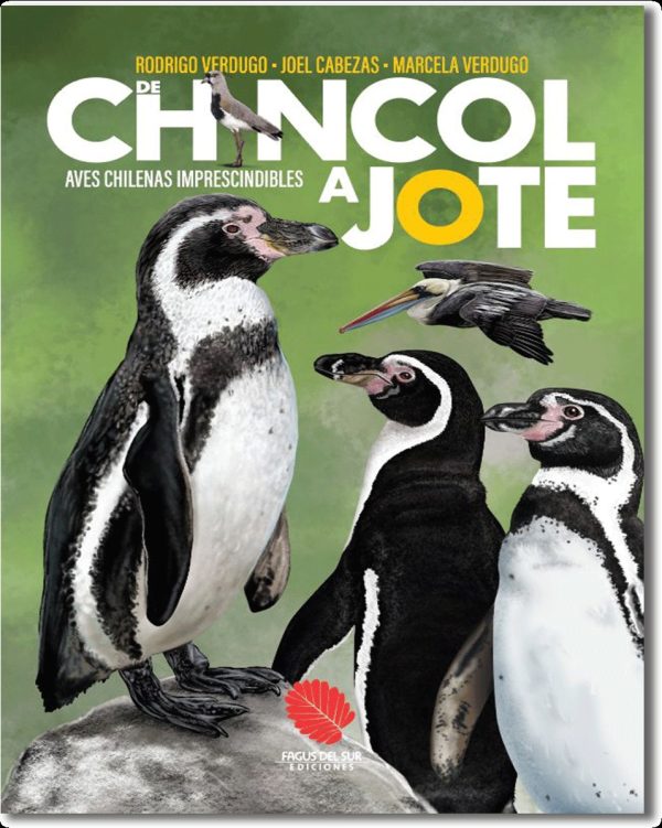 Libro De Chincol a Jote