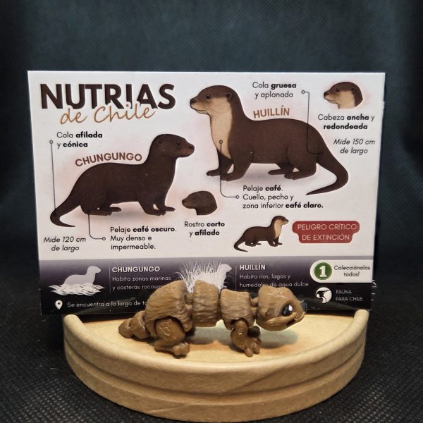 Imán coleccionable Nutrias de Chile + Mini Chungungo