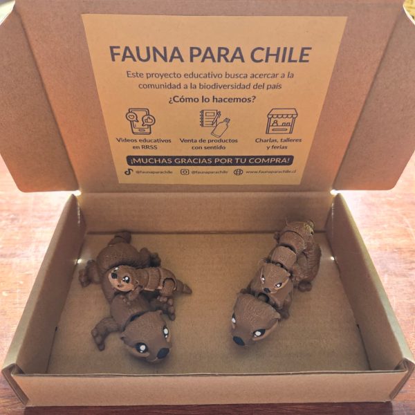 Figuras 3D - Familia Chungungos