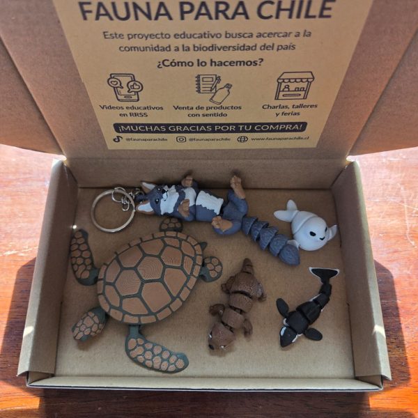 Figuras 3D - Caja Mix Tortuga