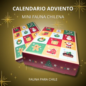 Caja Adviento Mini Fauna Chilena