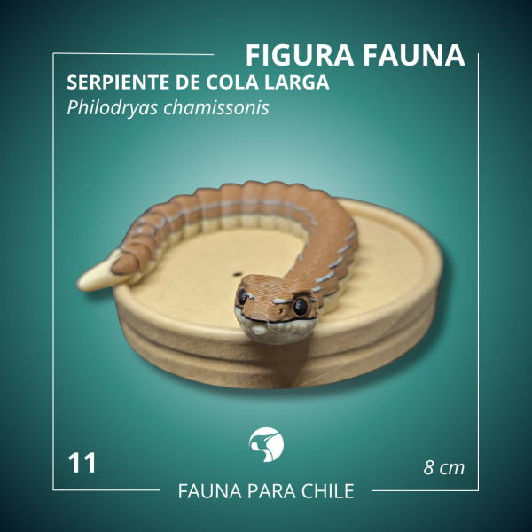 Figuras 3D - Serpiente de Cola Larga