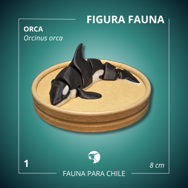 Figuras 3D - Orca