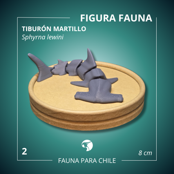 Figuras 3D - Tiburón Martillo