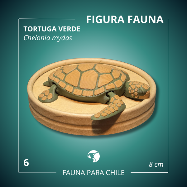 Figuras 3D - Tortuga Verde