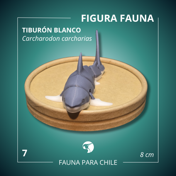 Figuras 3D - Tiburón Blanco