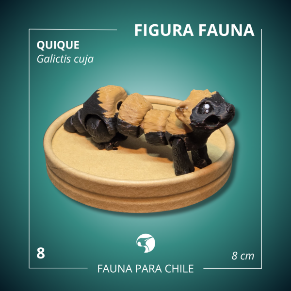 Figuras 3D - Quique