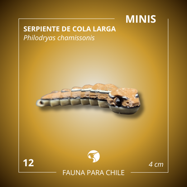 Figuras 3D - Mini Serpiente de Cola Larga