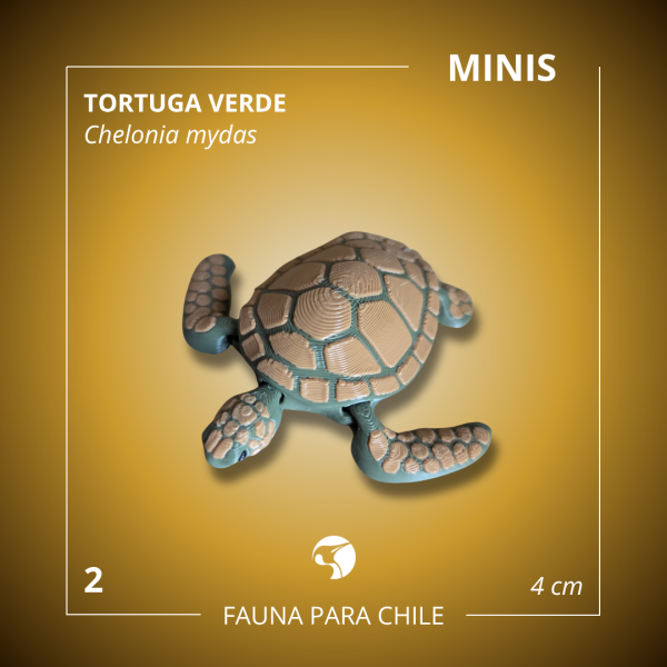 Figuras 3D - Mini Tortuga Verde