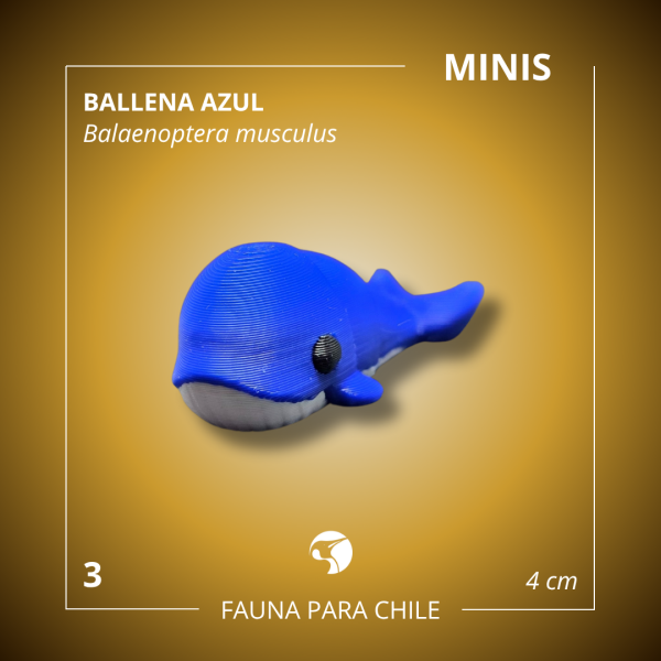 Figuras 3D - Mini Ballena Azul