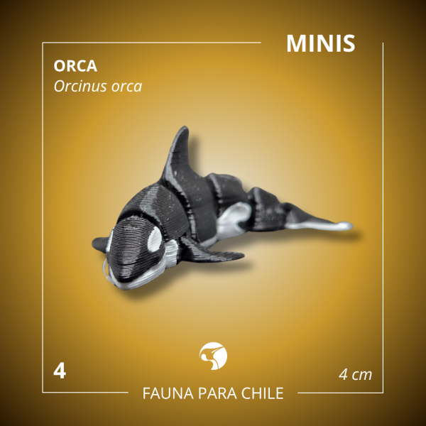 Figuras 3D - Mini Orca