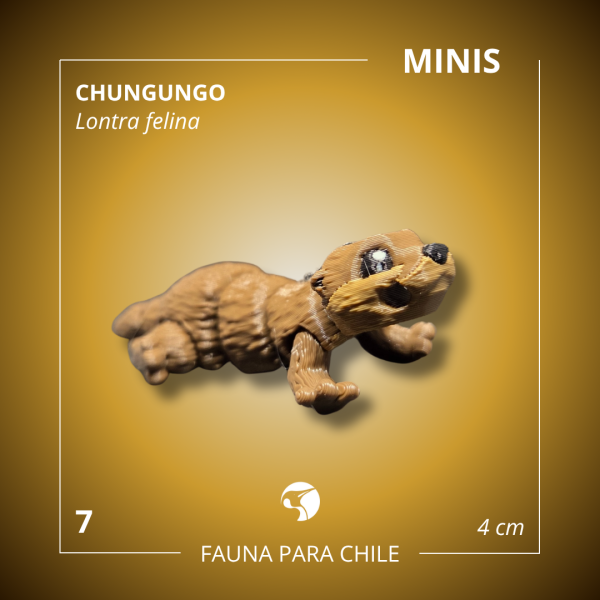 Figuras 3D - Mini Chungungo