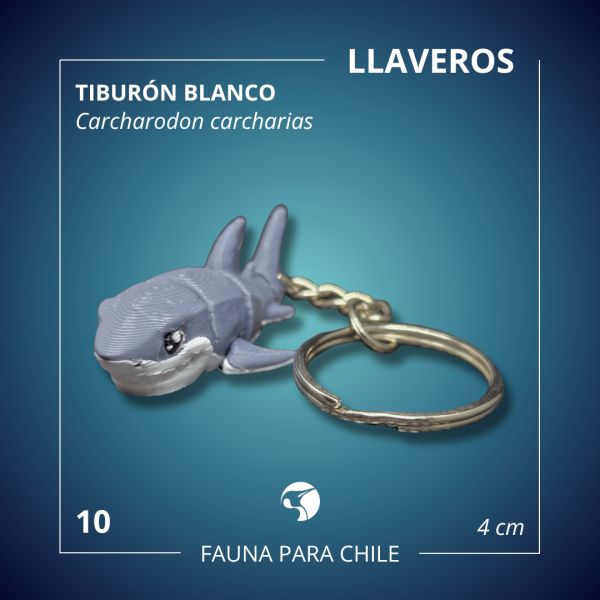 Figuras 3D - Llavero Tiburón Blanco