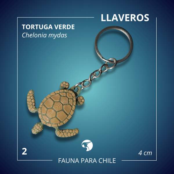 Figuras 3D - Tortuga Verde