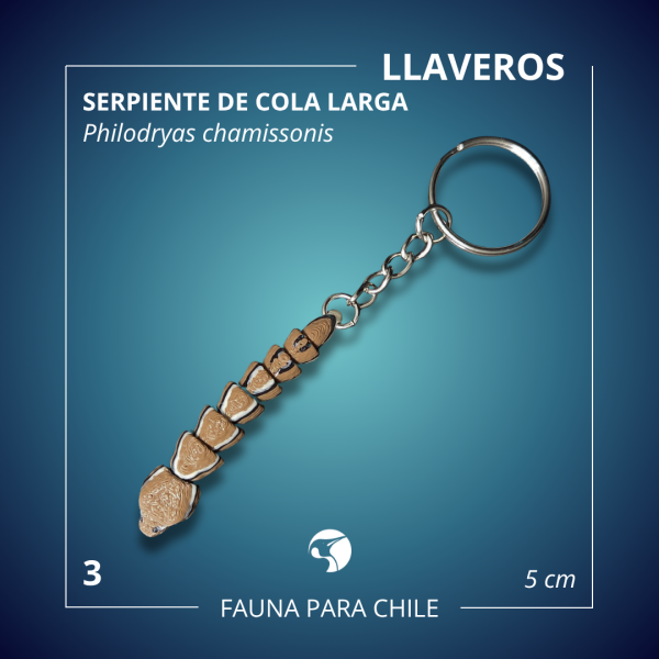 Figuras 3D - Llavero Serpiente Cola Larga