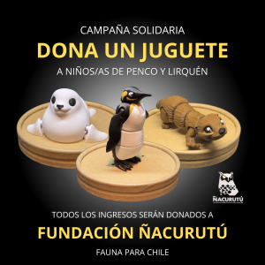 CAMPAÑA SOLIDARIA - DONA UN JUGUETE